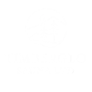 timberglo sauna blanc